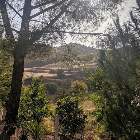 Quinta Shangri-la